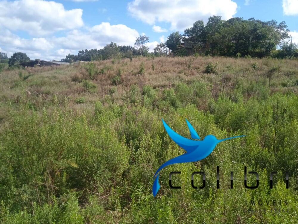 Chácara, 1 quarto, 1 hectares - Foto 10