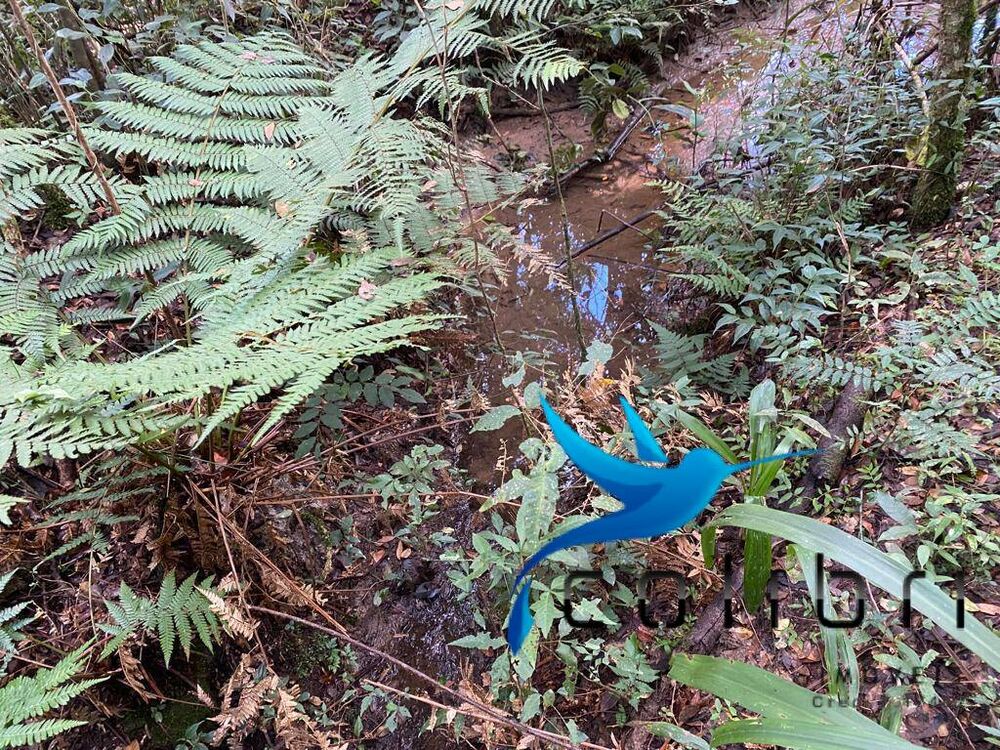 Chácara, 1 quarto, 1 hectares - Foto 3