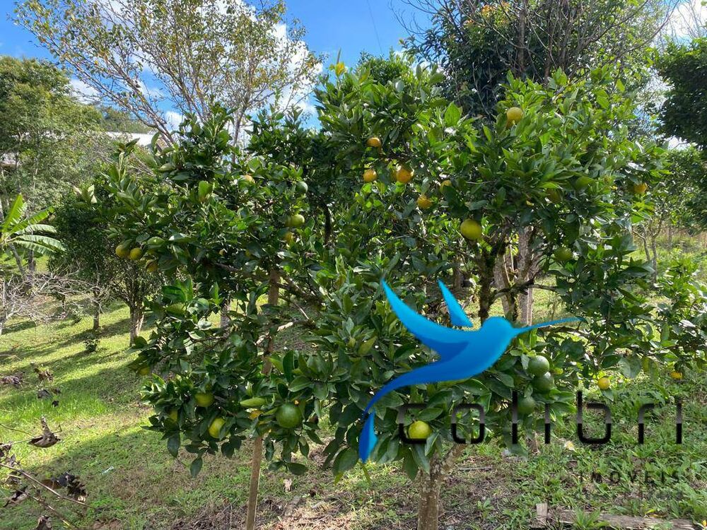 Chácara, 1 quarto, 1 hectares - Foto 6