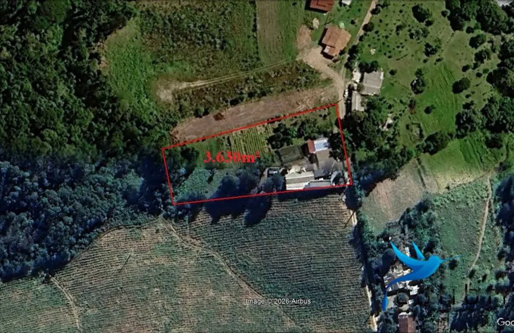 Chácara, 4 quartos, 3630 m² - Foto 15