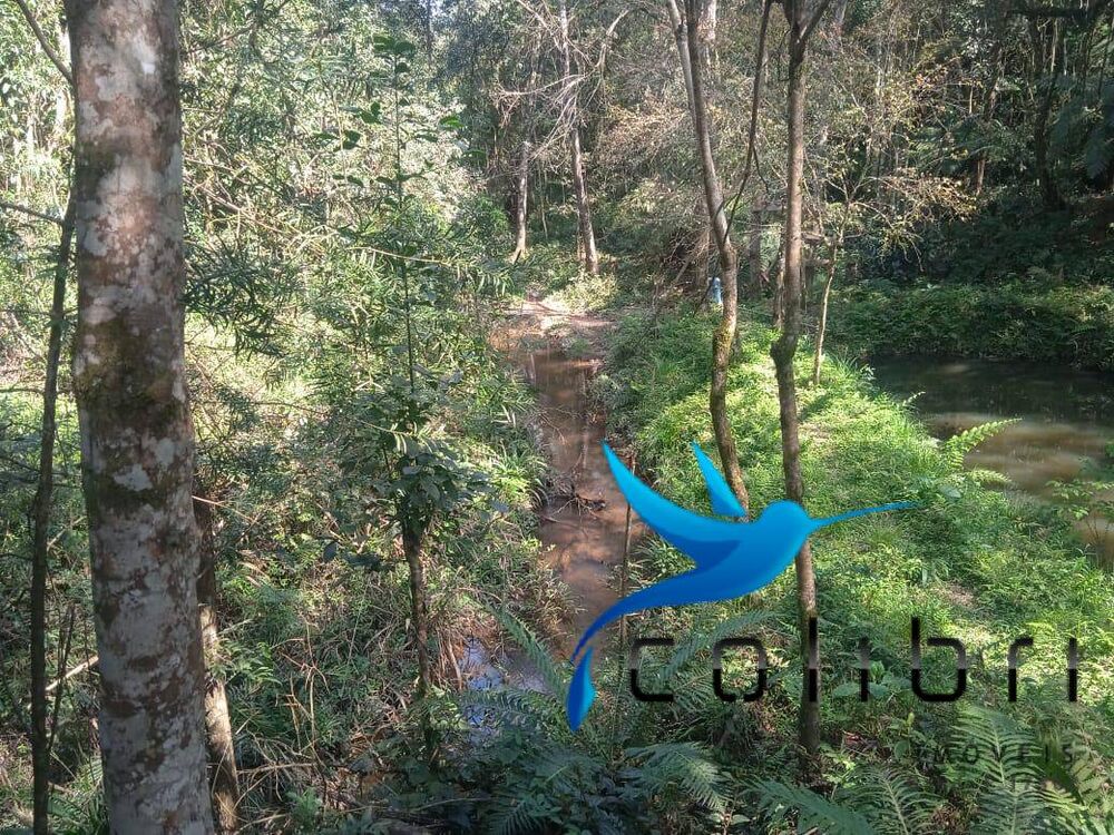 Chácara, 3 quartos, 3600 m² - Foto 6