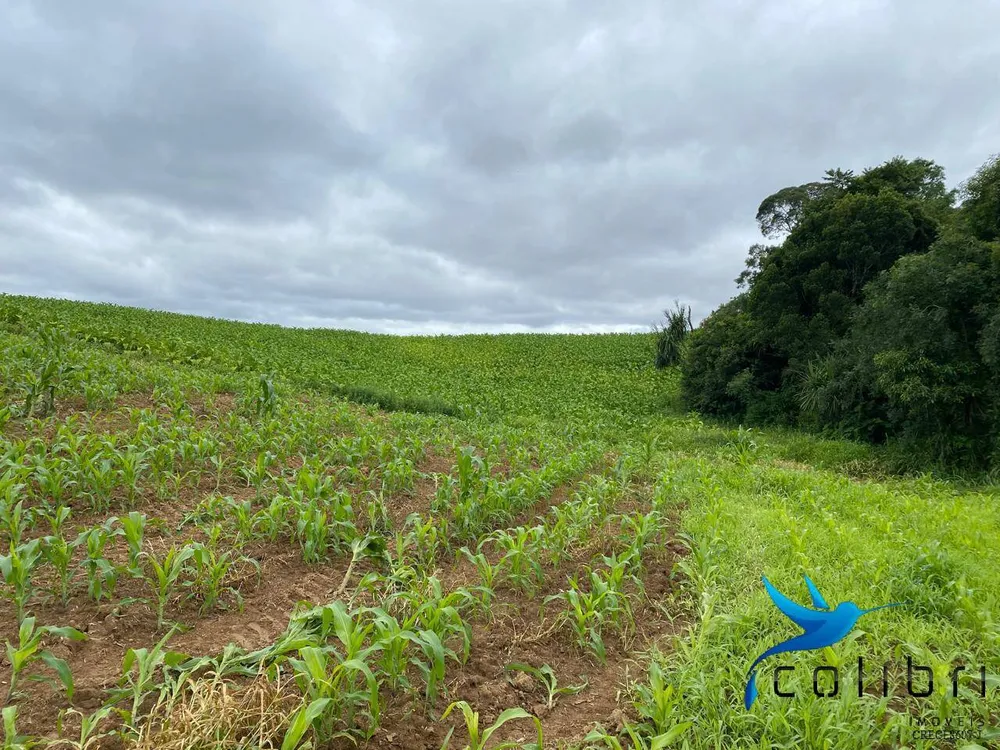 Terreno, 2 hectares - Foto 6