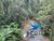Terreno, 2 hectares - Foto 4