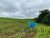 Terreno, 2 hectares - Foto 3