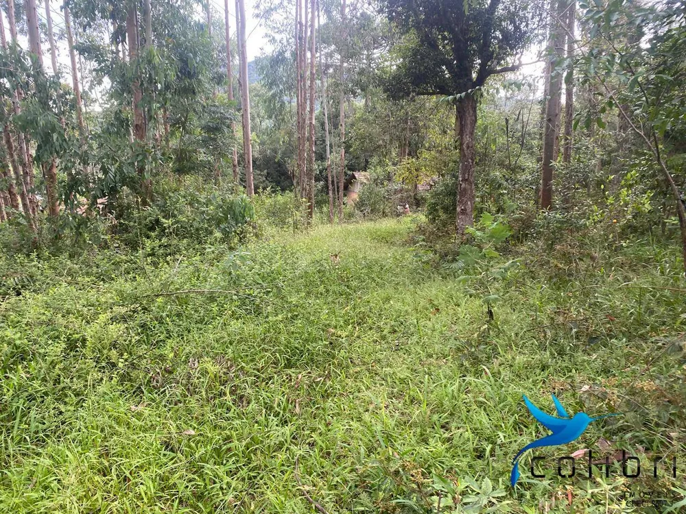 Terreno, 6050 m² - Foto 11