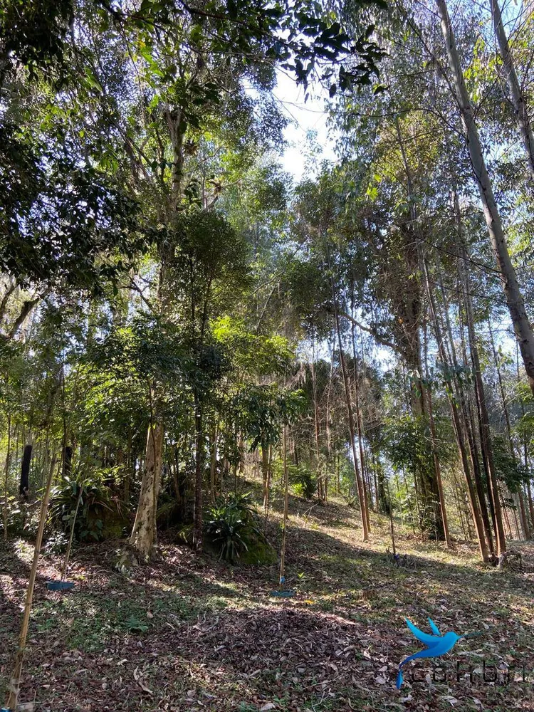 Terreno, 6050 m² - Foto 6