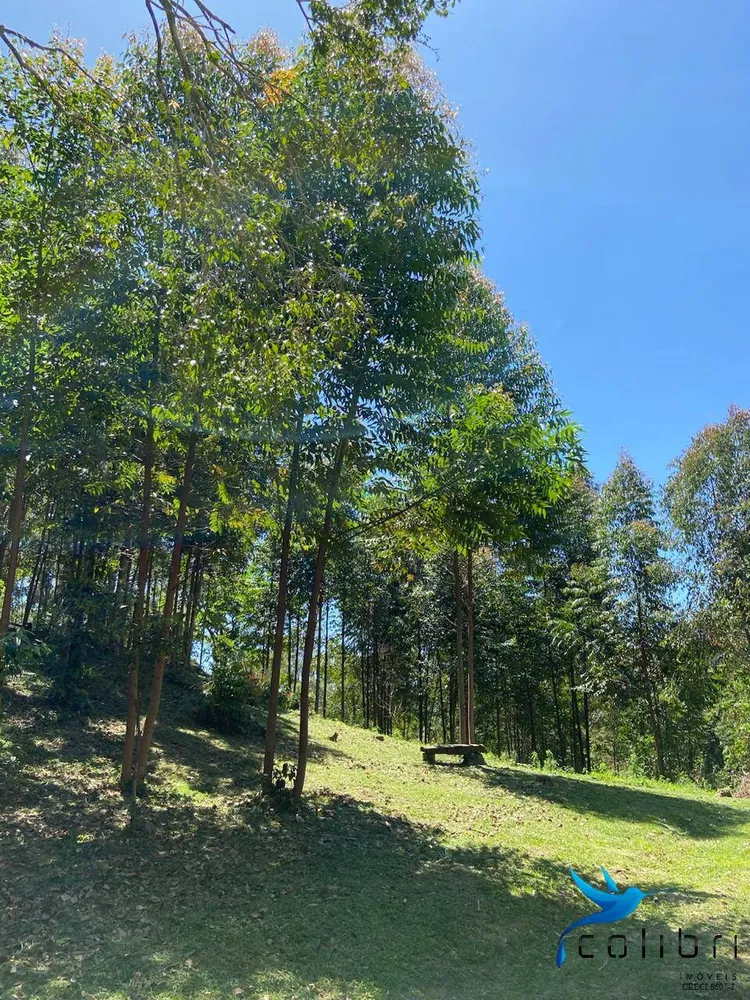 Terreno, 6050 m² - Foto 5