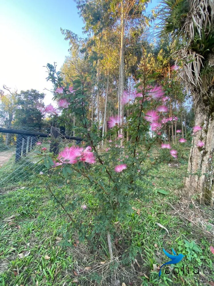 Terreno, 6050 m² - Foto 4