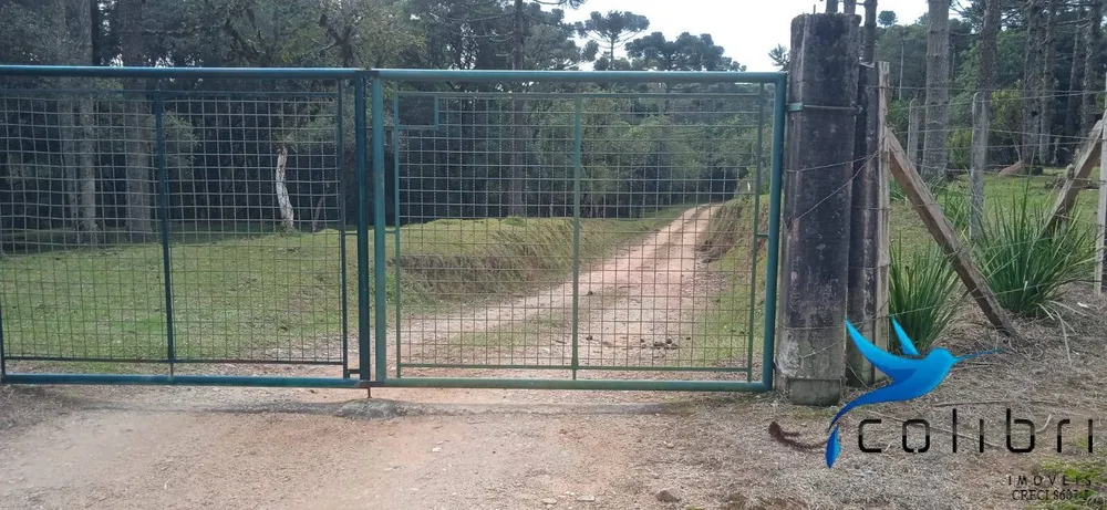 Chácara, 1 quarto, 9 hectares - Foto 4