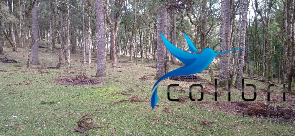 Chácara, 1 quarto, 9 hectares - Foto 3