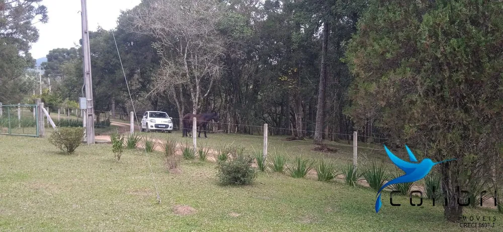Chácara, 1 quarto, 9 hectares - Foto 8