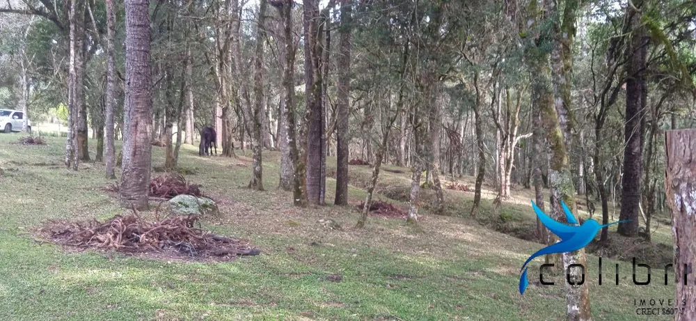 Chácara, 1 quarto, 9 hectares - Foto 10