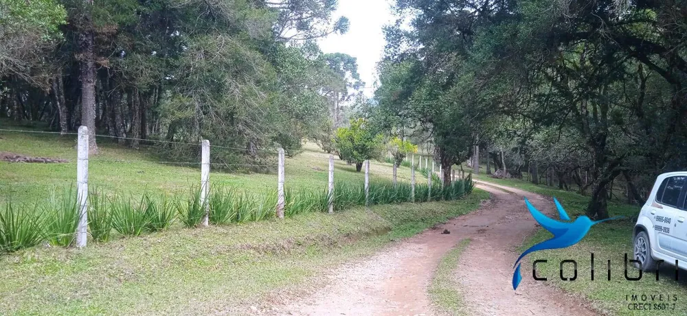 Chácara, 1 quarto, 9 hectares - Foto 7