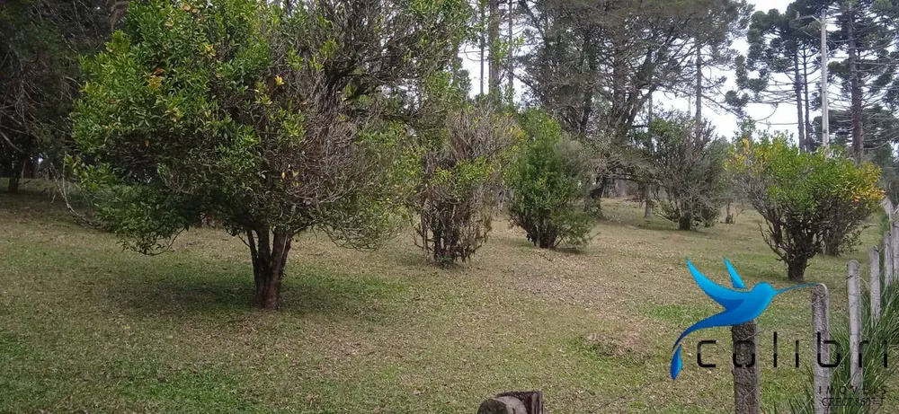 Chácara, 1 quarto, 9 hectares - Foto 12