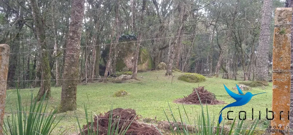 Chácara, 1 quarto, 9 hectares - Foto 13