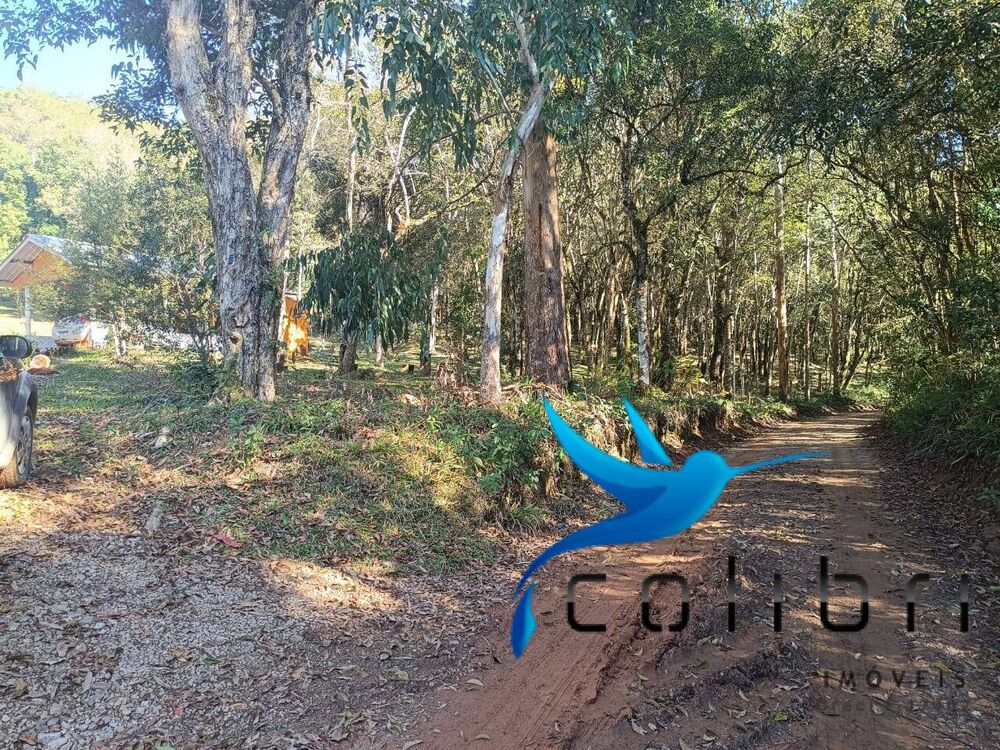 Chácara à venda com 2 quartos, 6000m² - Foto 5