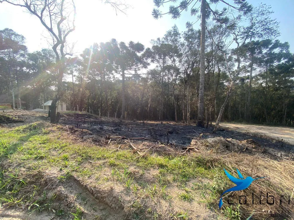 Terreno, 2141 m² - Foto 1