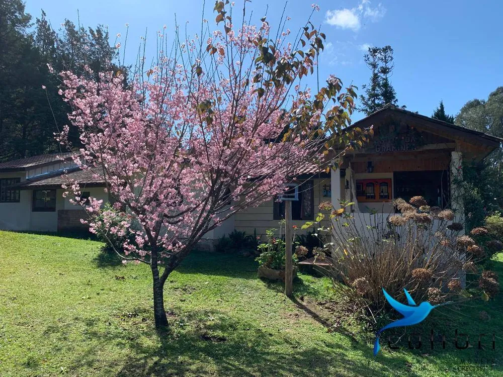 Chácara, 6 quartos, 9 hectares - Foto 14