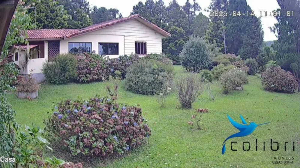 Chácara, 6 quartos, 9 hectares - Foto 1