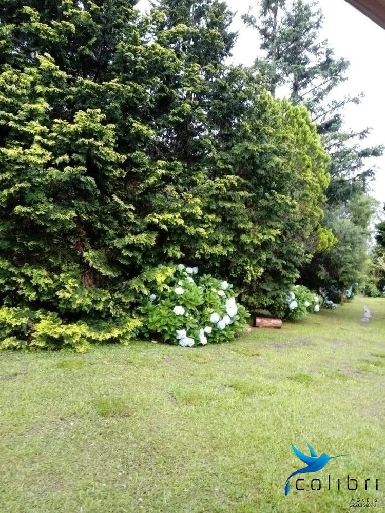 Chácara, 6 quartos, 9 hectares - Foto 10