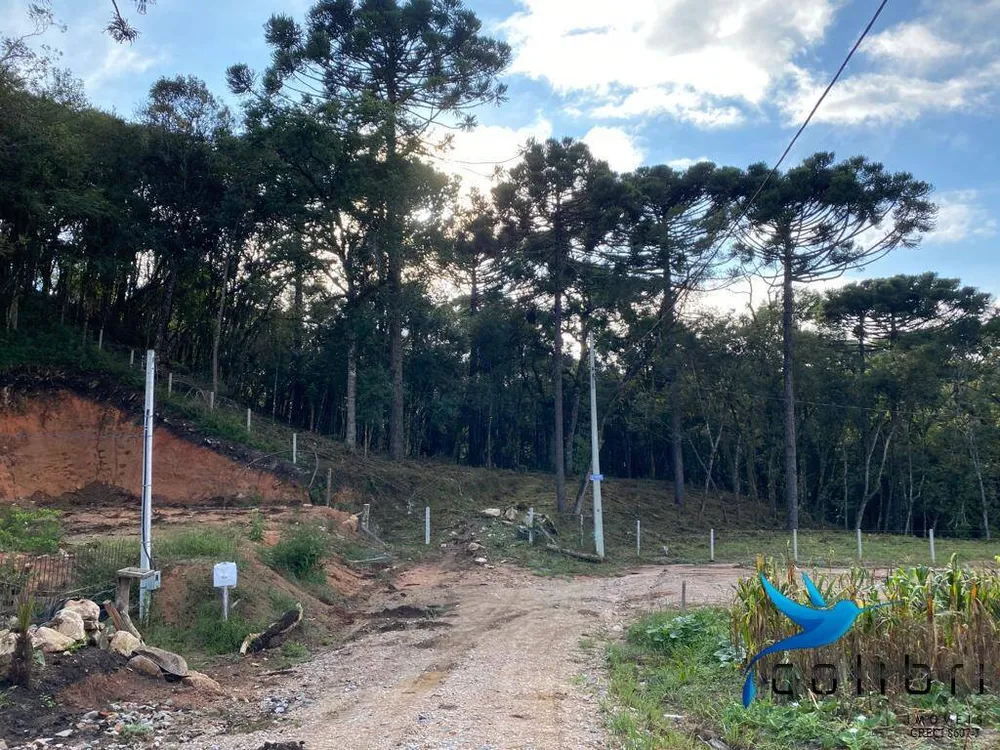 Terreno, 5810 m² - Foto 4