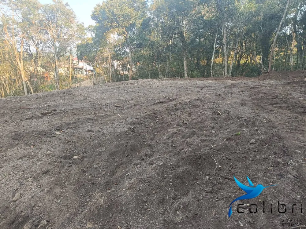 Terreno, 3540 m² - Foto 8