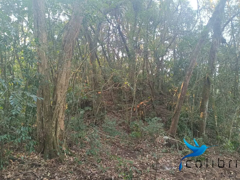 Terreno, 3540 m² - Foto 6