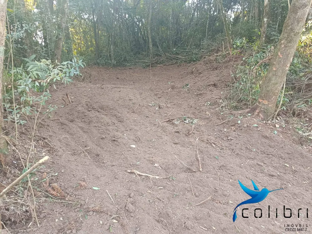 Terreno, 3540 m² - Foto 3