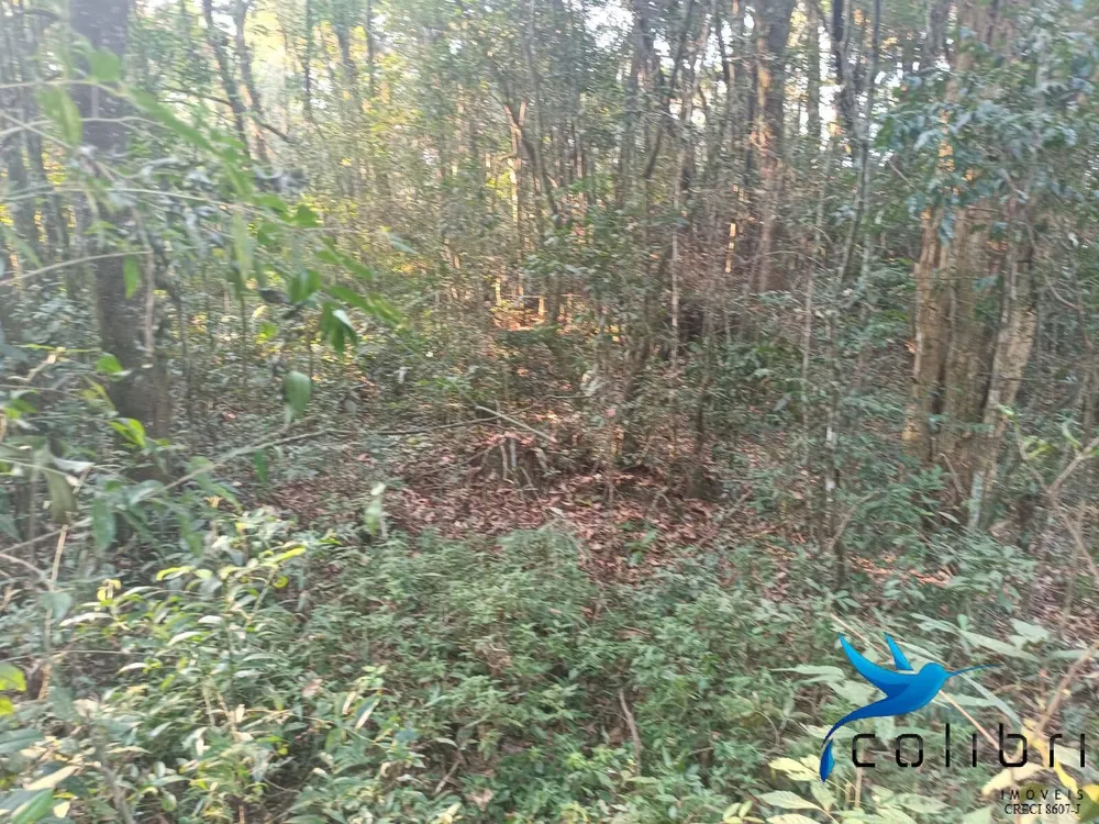 Terreno, 3540 m² - Foto 5