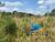 Terreno, 730 m² - Foto 3