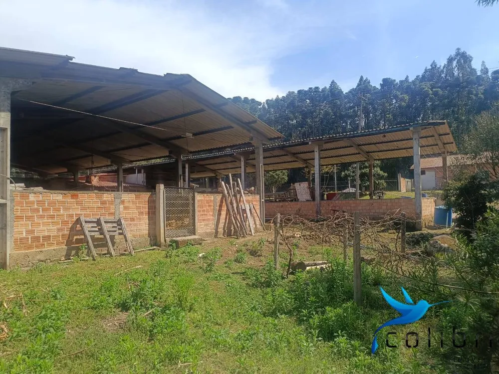Sítio, 7 quartos, 10000 m² - Foto 6