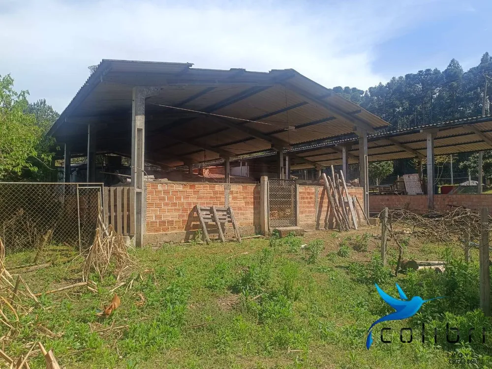 Sítio, 7 quartos, 10000 m² - Foto 10