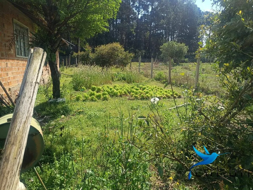 Sítio, 7 quartos, 10000 m² - Foto 2