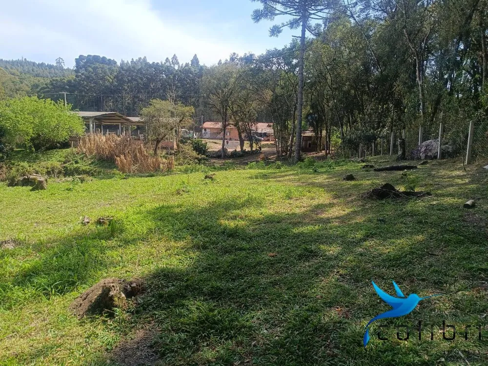 Sítio, 7 quartos, 10000 m² - Foto 4