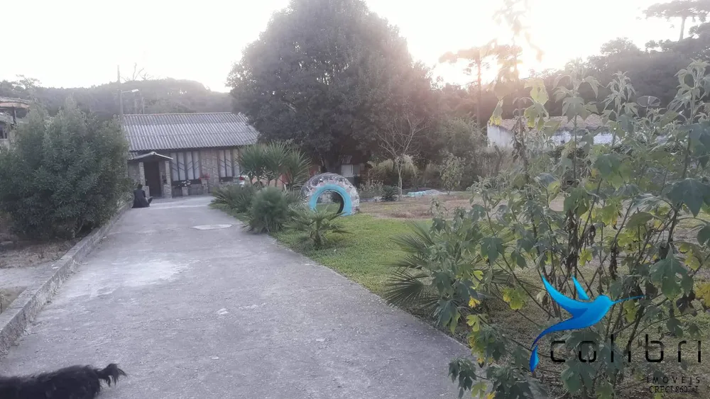 Casa, 3 quartos, 2687 m² - Foto 11