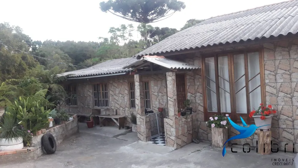 Casa, 3 quartos, 2687 m² - Foto 10