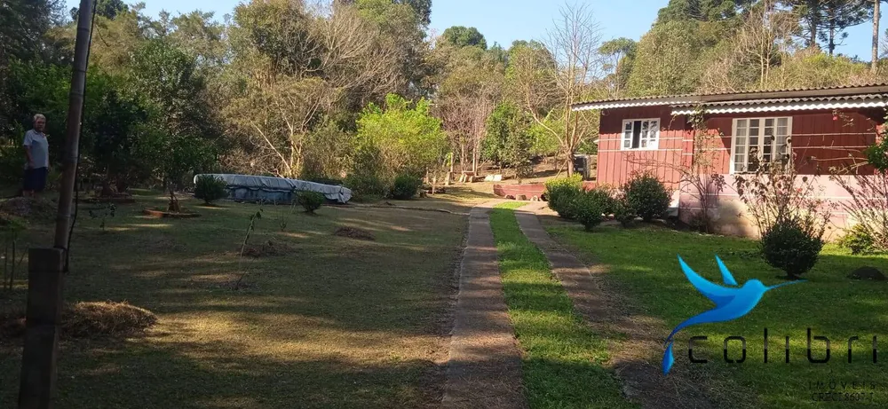 Chácara, 4 quartos, 4840 m² - Foto 8