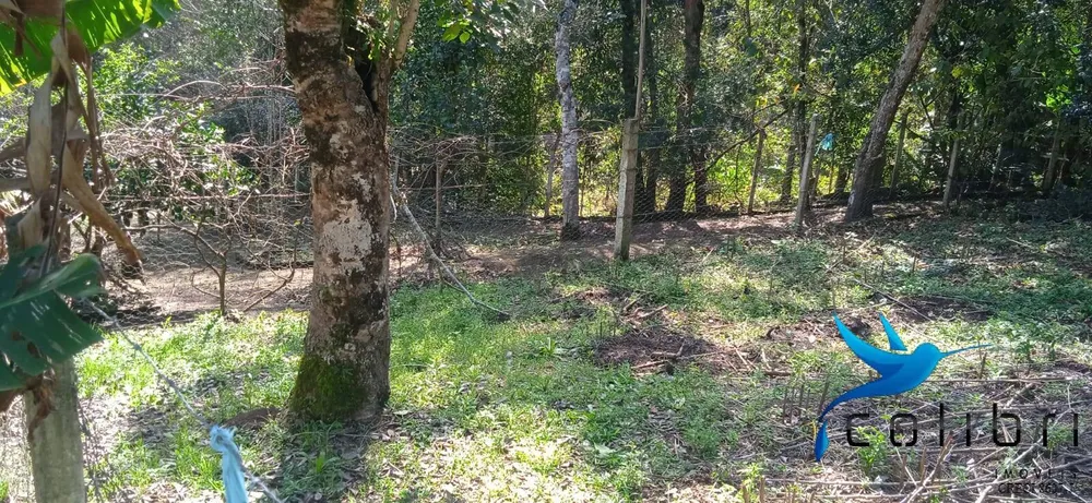 Chácara, 4 quartos, 4840 m² - Foto 11