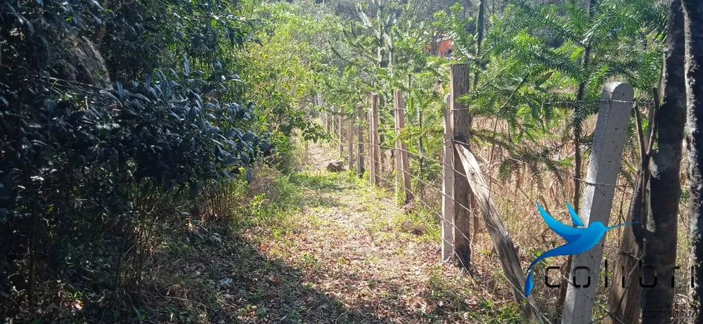Chácara, 4 quartos, 4840 m² - Foto 7