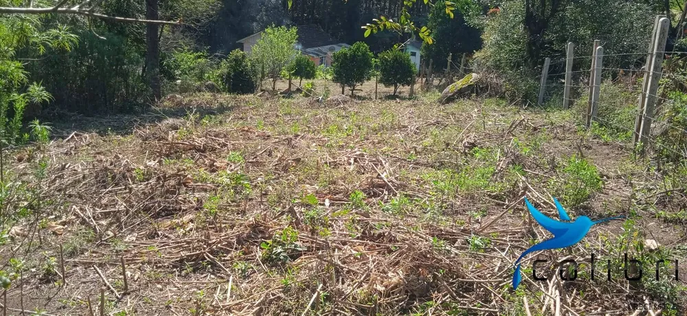 Chácara, 4 quartos, 4840 m² - Foto 13