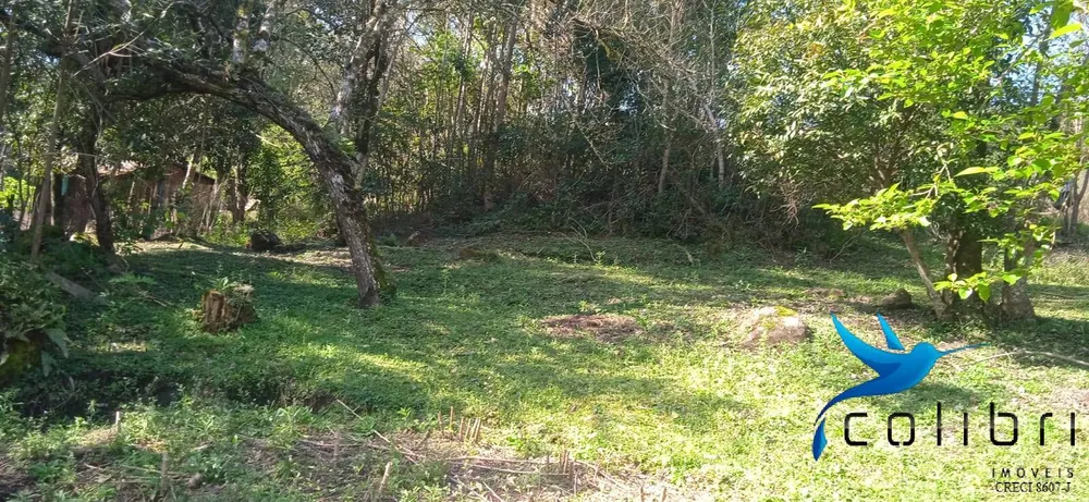 Chácara, 4 quartos, 4840 m² - Foto 5