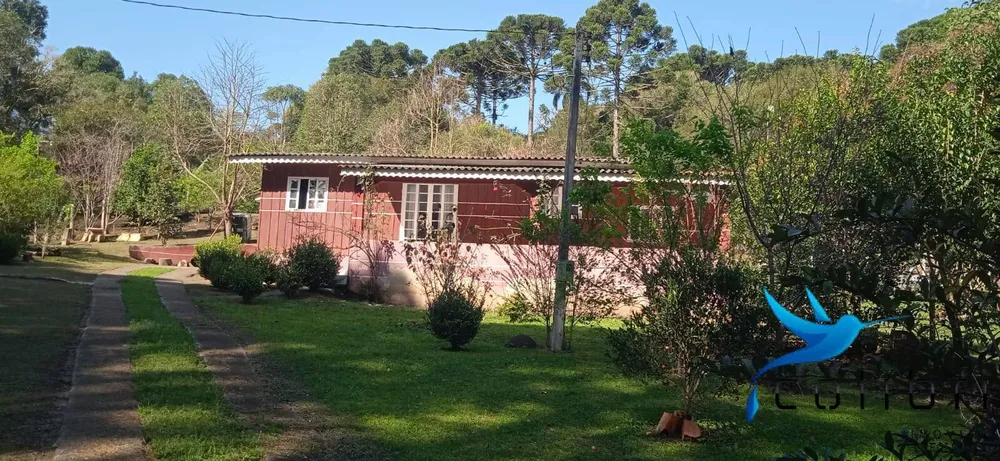 Chácara, 4 quartos, 4840 m² - Foto 3
