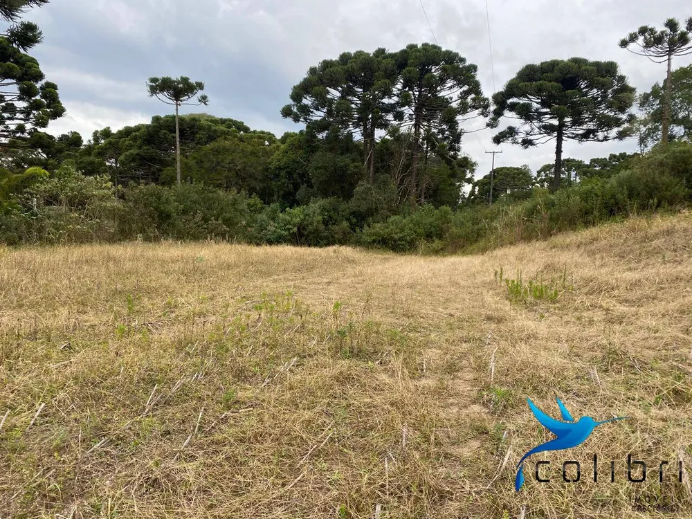 Terreno, 1 hectares - Foto 8