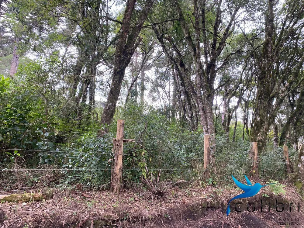 Terreno, 1 hectares - Foto 10