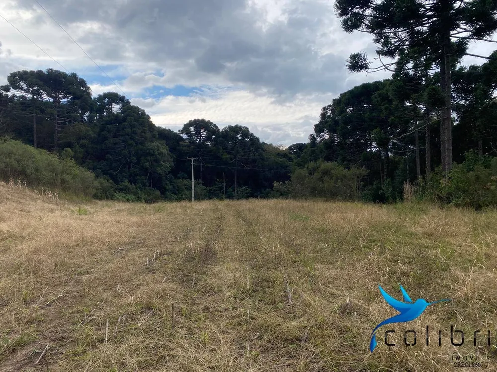 Terreno, 1 hectares - Foto 4