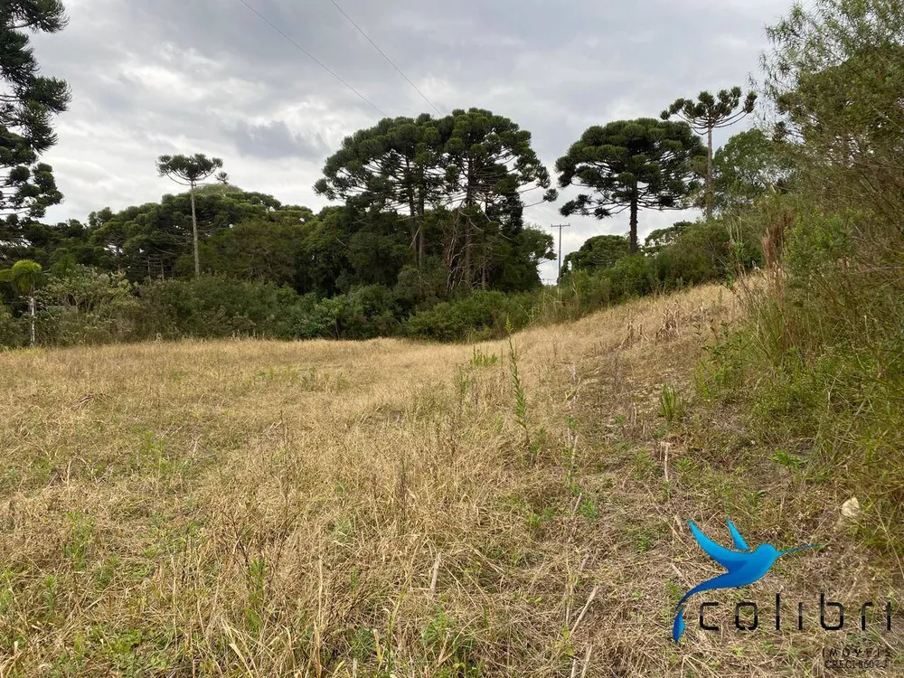 Terreno, 1 hectares - Foto 6