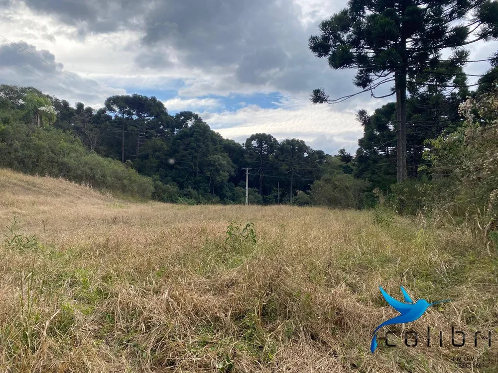 Terreno, 1 hectares - Foto 2