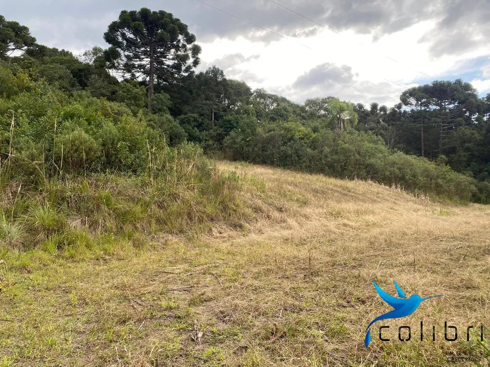 Terreno, 1 hectares - Foto 3