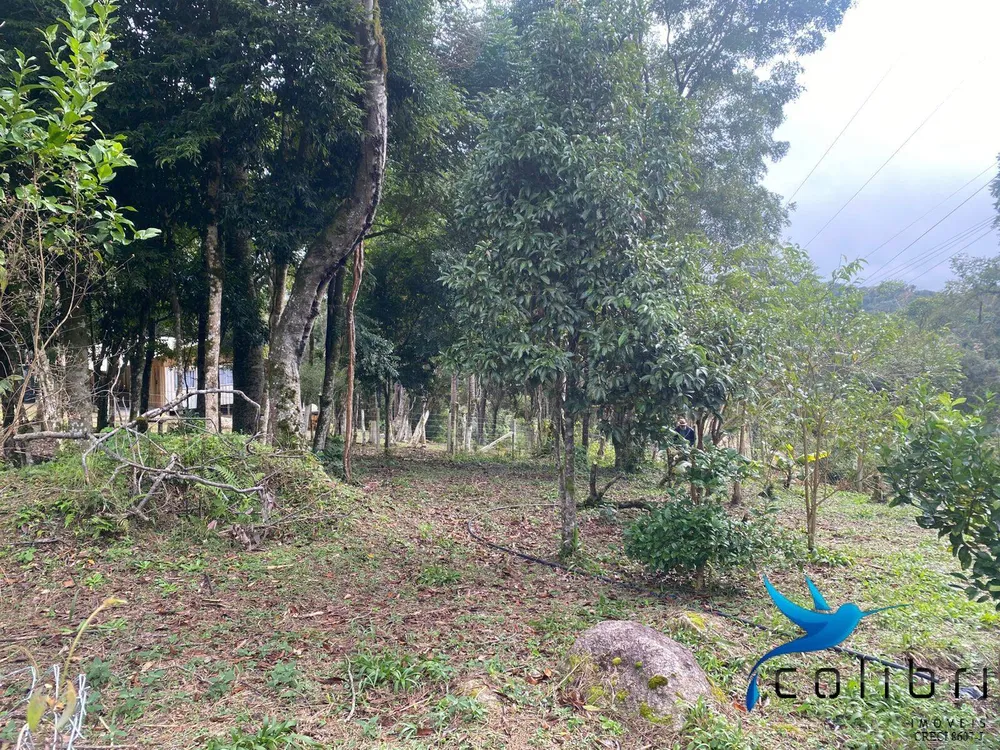 Chácara, 2 quartos, 1844 m² - Foto 6