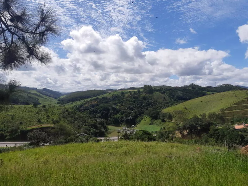 Terreno à venda, 11300m² - Foto 3